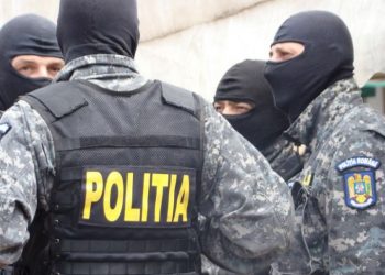 Reținuți pentru tăieri ilegale de arbori din fondul forestier