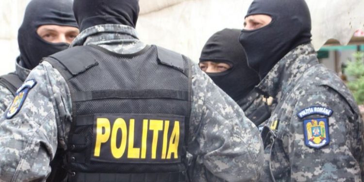 Reținuți pentru tăieri ilegale de arbori din fondul forestier