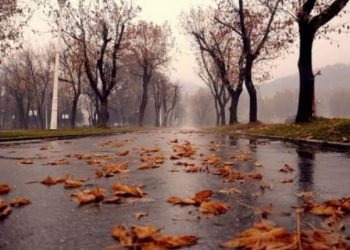 Se răcește vremea. Minimele pot ajunge la zero grade