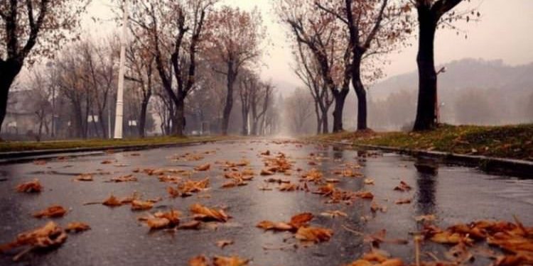 Se răcește vremea. Minimele pot ajunge la zero grade