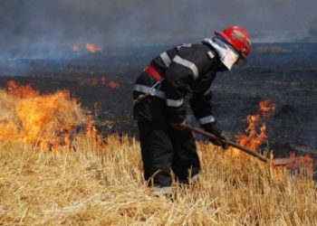 Cod galben de vânt, în Teleorman. ISU atrage atenția asupra distrugerii vegetației uscată prin ardere