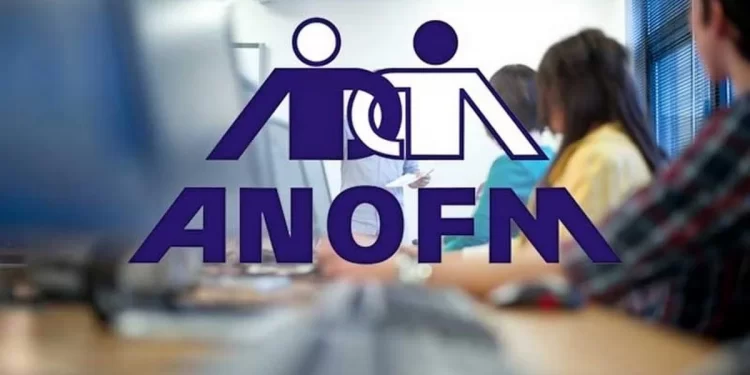 ANOFM: Cetățenii ucraineni care vor să se angajeze în România, nu au nevoie de aviz, timp de 9 luni