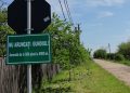 Groapă de gunoi ilegală la Gălăteni. Primărița: “Și în alte comune sunt gropi de gunoi”| Foto&Video
