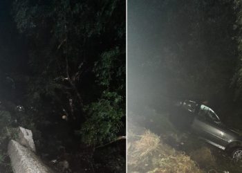 Un tânăr din Teleorman și-a găsit sfărșitul într-un accident rutier, în Plopii Slăvitești