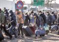 Peste 6400 de ucraineni muncesc în România. Doar câțiva refugiați lucrează în Teleorman