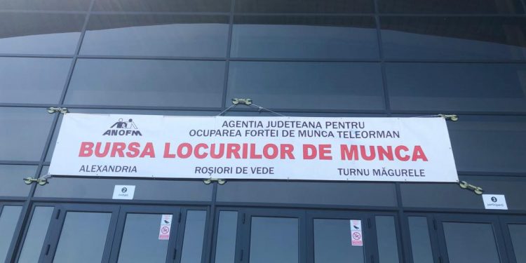 Bursa locurilor de muncă, la Alexandria, Roșiori de Vede și Turnu Măgurele
