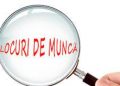 Ești în căutarea unui loc de muncă? Peste 280 de posturi sunt vacante, în judeţul Teleorman 