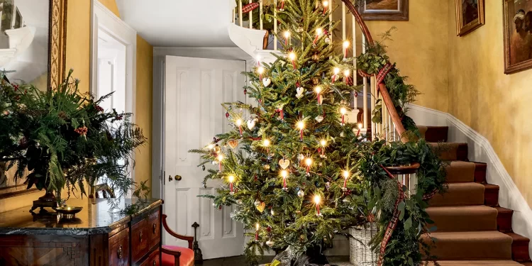 Alegi un copac natural sau artificial de Crăciun? Întrebare capcană…