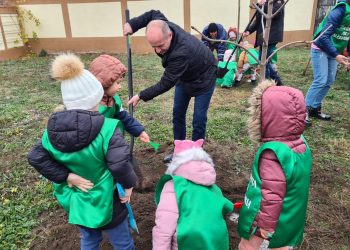 600 de arbori vor fi plantați în parcurile și curțile unităților de învățământ din Alexandria