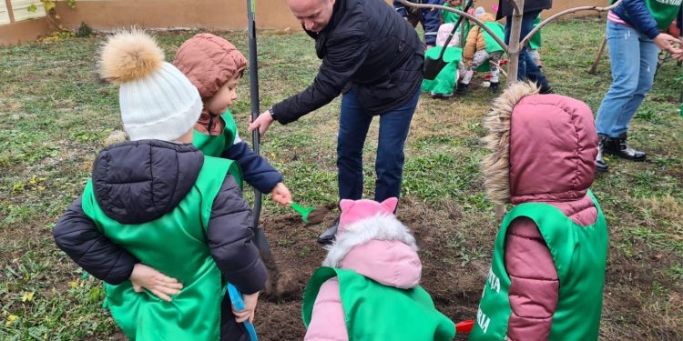 600 de arbori vor fi plantați în parcurile și curțile unităților de învățământ din Alexandria