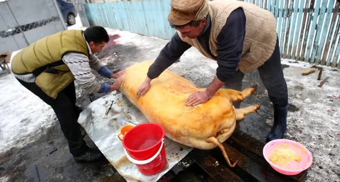 Azi este Ignatul. Tradiții și obiceiuri din Teleorman