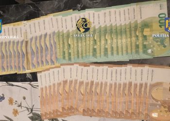 Percheziții în Teleorman și alte județe pentru destructurarea unei grupări specializate în trafic de migranți | VIDEO