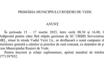 Campanie de sterilizare gratuită a câinilor și pisicilor de rasă comună, cu deținător de pe raza Municipiului Roșiori de Vede