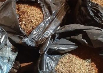 Percheziţii în Teleorman. Au vândut ilegal sute de kilograme de tutun. Prejudiciul estimat este de peste 120 de mii de euro