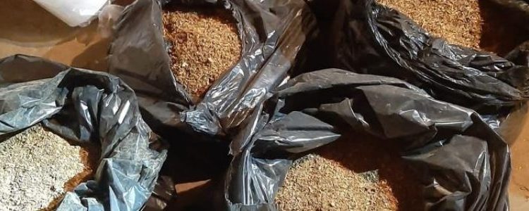 Percheziţii în Teleorman. Au vândut ilegal sute de kilograme de tutun. Prejudiciul estimat este de peste 120 de mii de euro