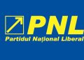 Mihail Cojocaru va fi exclus din PNL dacă „acuzațiile sunt reale”. Comunicat de presă