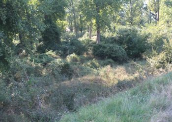 Doi tineri, un bărbat și o femeie, au ajuns în arest pentru braconaj