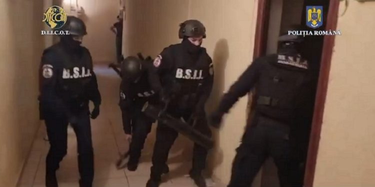 Percheziții domiciliare în Teleorman și Ilfov, în trei cauze penale de trafic de droguri de risc și droguri de mare risc