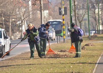 Amenzi consistente pentru nerespectarea protecției mediului, în municipiul Alexandria