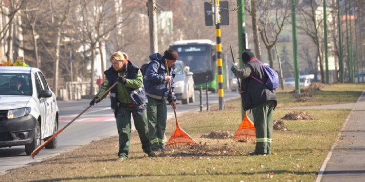 Amenzi consistente pentru nerespectarea protecției mediului, în municipiul Alexandria