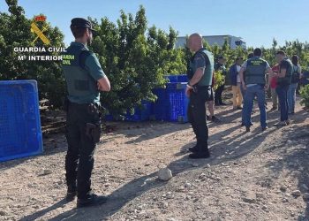 Sclavia modernă în Spania: 52 de români eliberați dintr-o rețea de exploatare prin muncă/ FADERE solicită Guvernului României să ia măsuri urgente