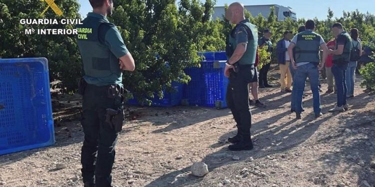 Sclavia modernă în Spania: 52 de români eliberați dintr-o rețea de exploatare prin muncă/ FADERE solicită Guvernului României să ia măsuri urgente