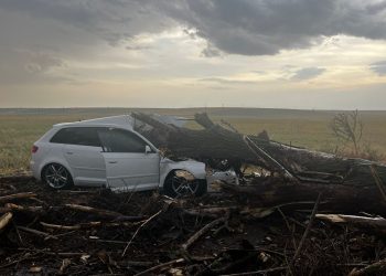 Un copac doborât de vânt a căzut peste o mașină în care se aflau două femei și doi copii. Toate persoanele au fost transportate la spital/FOTO