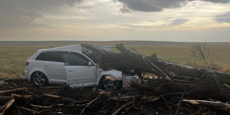 Un copac doborât de vânt a căzut peste o mașină în care se aflau două femei și doi copii. Toate persoanele au fost transportate la spital/FOTO