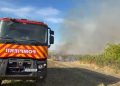 ISU Teleorman: Incendiu la o cultură de viță de vie, pe raza orașului Zimnicea. Au ars 80 de hectare de vie