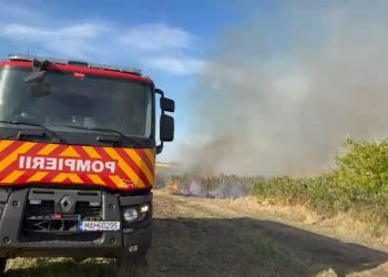 ISU Teleorman: Incendiu la o cultură de viță de vie, pe raza orașului Zimnicea. Au ars 80 de hectare de vie