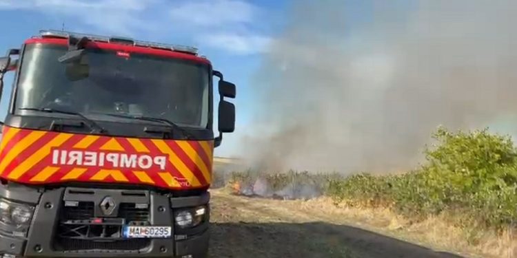 ISU Teleorman: Incendiu la o cultură de viță de vie, pe raza orașului Zimnicea. Au ars 80 de hectare de vie